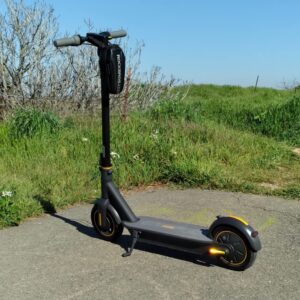 Name Electric Kick Scooter