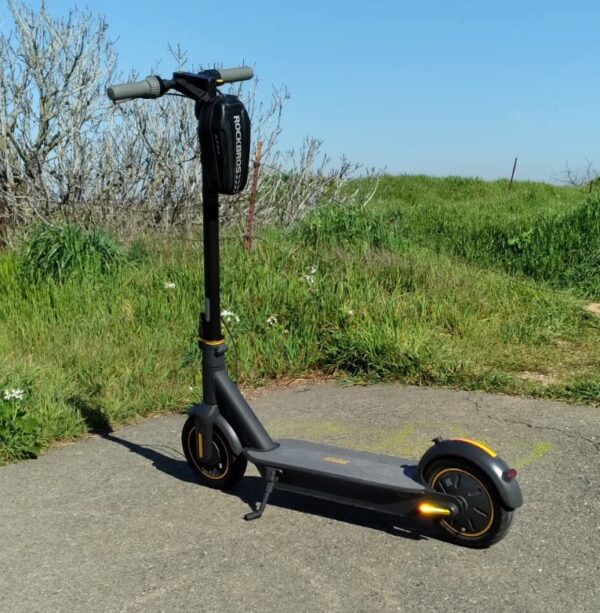 Name Electric Kick Scooter